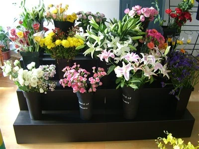 Espositori per fiori per fioristi